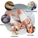 Bee Venom Foot Patches (Set of 10 Patches)